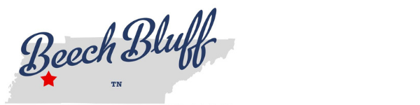 Map of Tennessee highlighting Beech Bluff TN for local community guide by Jennifer Knolton, West Tennessee REALTOR®