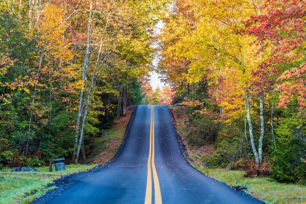Scenic country road in West Tennessee showing rural commute near Jackson TN.