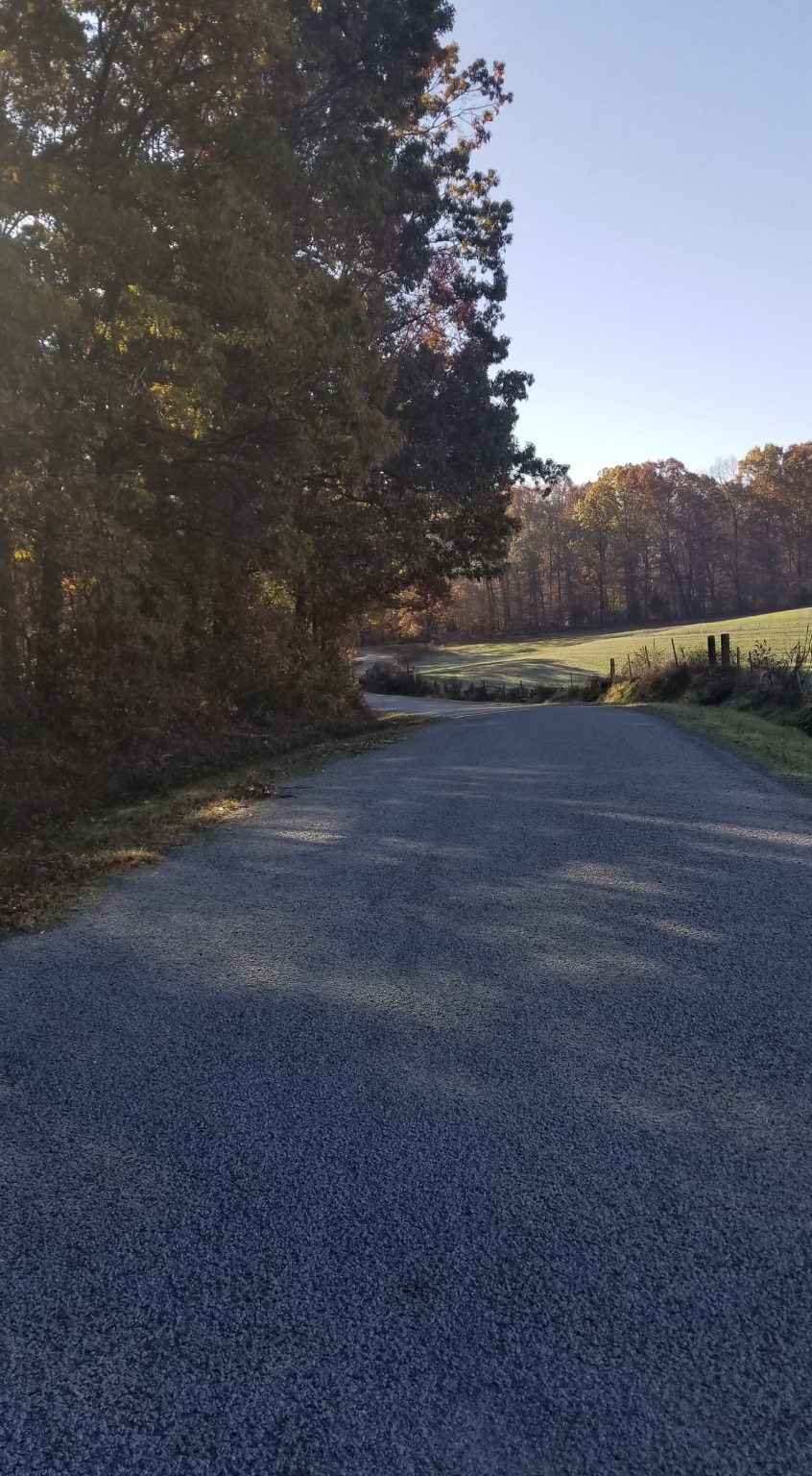 Gravel country road leading through rural property in West Tennessee near Jackson TN.