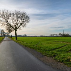 Rural country road and farmland landscape in West Tennessee near Beech Bluff.