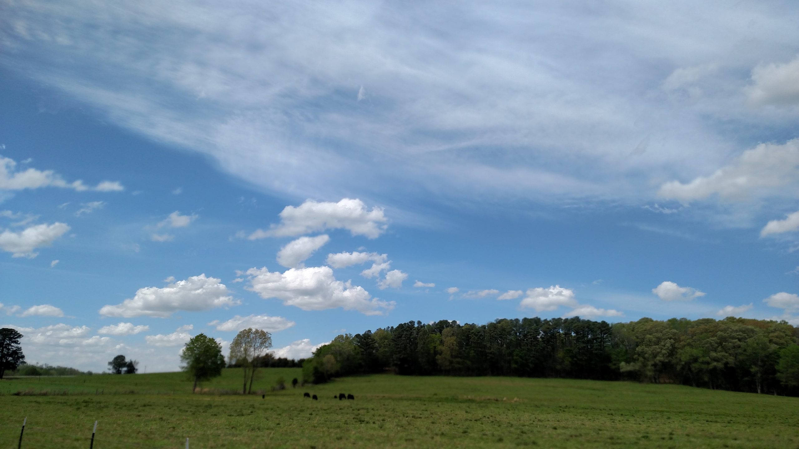 Open pasture land and acreage in West Tennessee near Beech Bluff and Jackson TN.