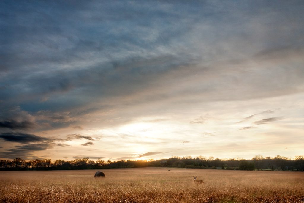 Peaceful rural landscape in West Tennessee near Jackson TN